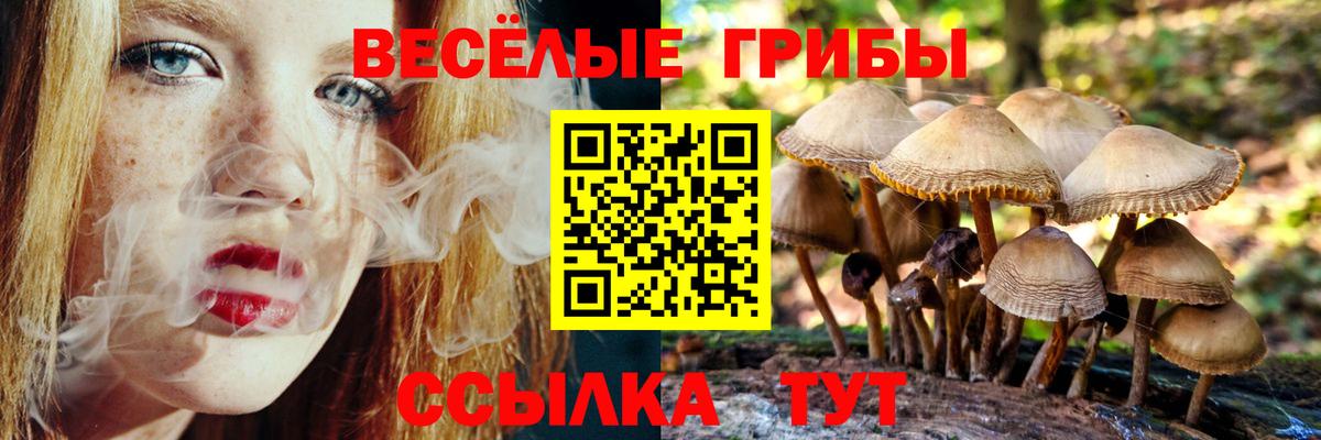 Галлюциногенные грибы прущие грибы Унеча